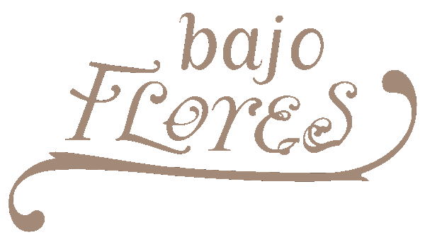 logo Viejo Barrio